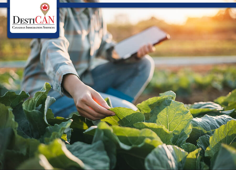 اخذ اقامت دائم کانادا با برنامه استانی ساسکاچوان